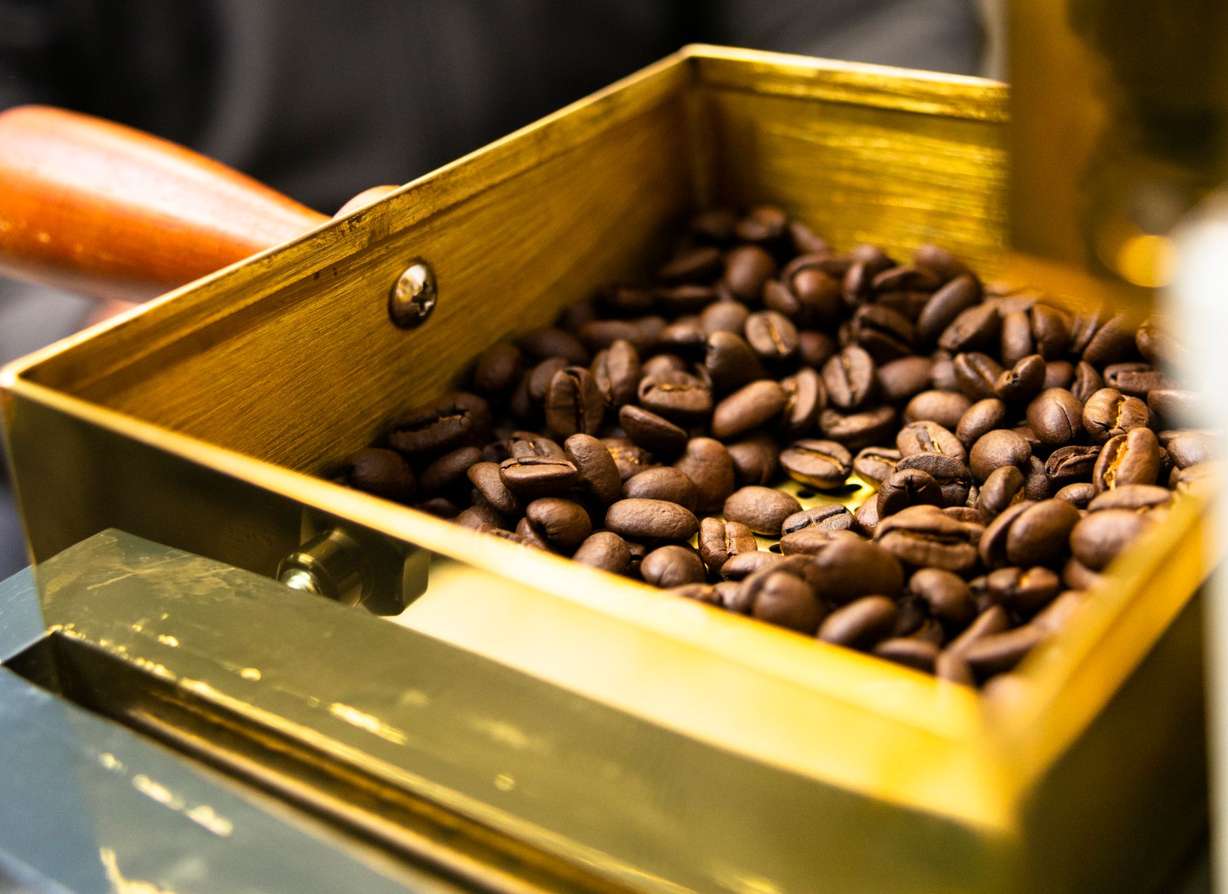 Muestras de café en charolas de tueste