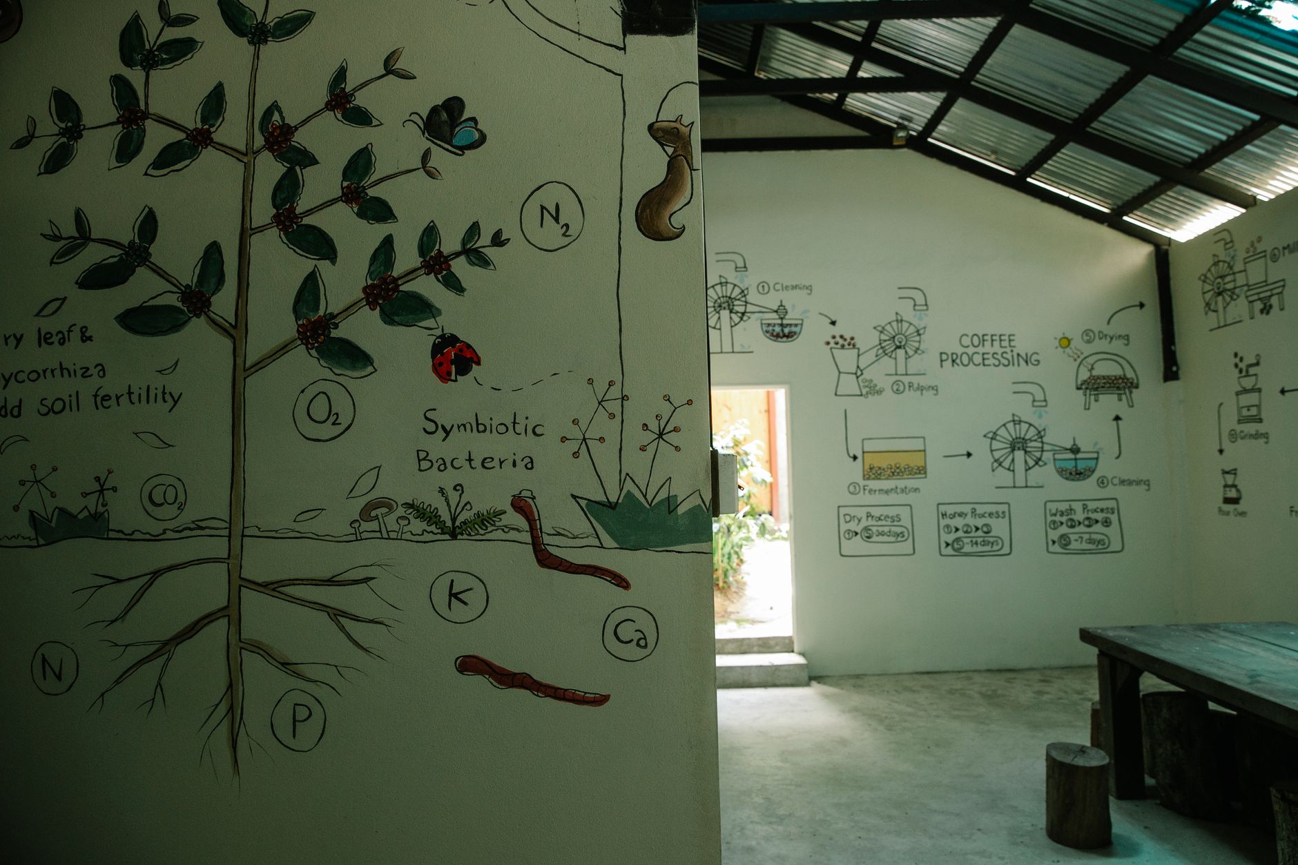 Beneficio húmedo de café en Huatusco, Veracruz