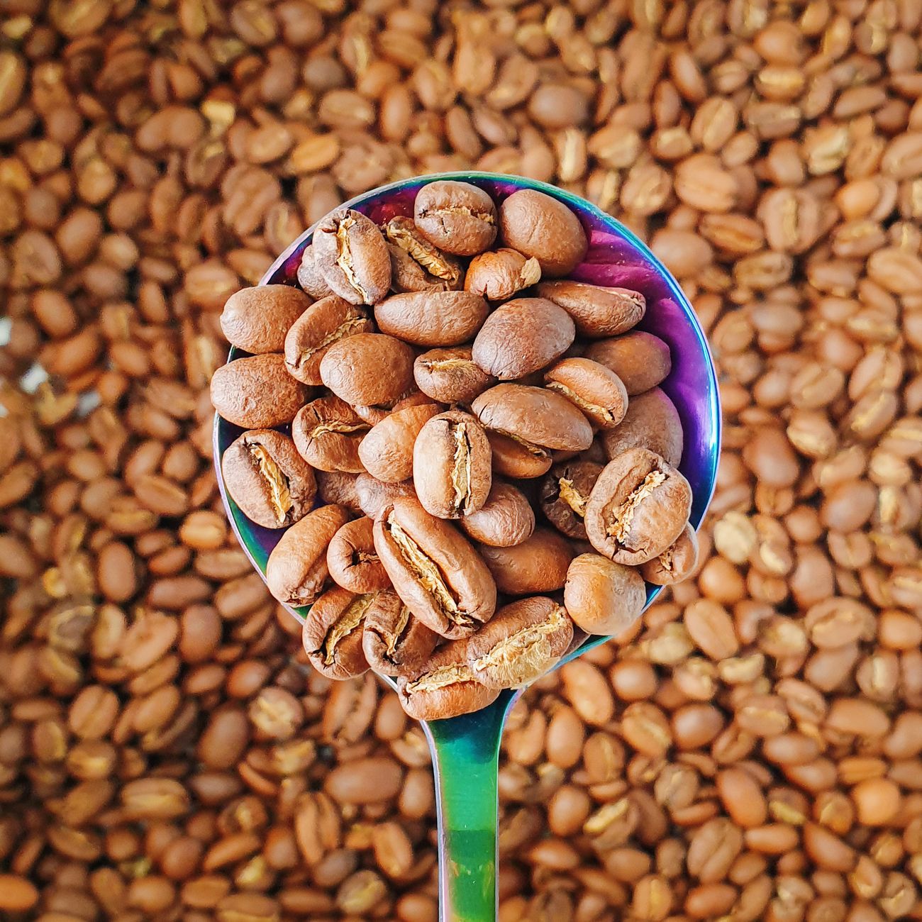 Bolsa de café descafeinado por proceso de agua